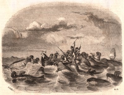 Vista, de, um, grupo, de, inglês, marinheiros, perseguindo, um, rebanho, de, morsa, em, 1818, desligado, a, costa, de, spitsbergen de Unknown