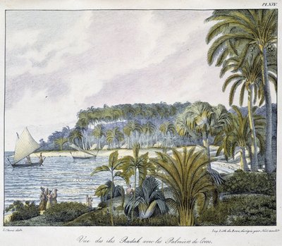 Vista das Ilhas Radak do arquipélago das Ilhas Marshall. de Unknown artist