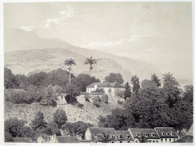 Vista das casas tomadas da Boulevard de la Comedie em Saint Pierre, na Martinica, nas Antilhas. Impressão após fotografia do final do século XIX Chartres musee des Beaux Arts de Unknown artist