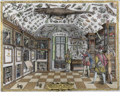 Vista do museu (gabinete) de curiosidades (museu enciclopédico) do farmacêutico Ferrante Imperato (1550 - 1631). Gravura a partir de 1678. Museu do boticário napolitano Ferrante Imperato. de Unknown artist