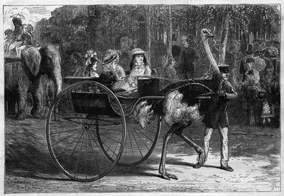 Caminhe nas costas de um elefante e crianças em uma cariola arrastada por Austrias. Jardim de Aclimatação do Bois de Boulogne em Paris de Unknown artist