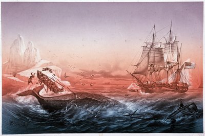 Navio baleeiro falhou no salvamento dos seus barcos de baleia de Unknown artist
