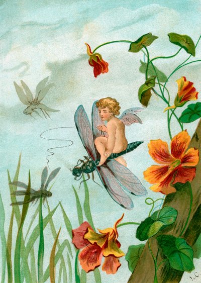 Fada Alada Montada numa Libélula perto das Flores de Nasturtium de Unknown artist