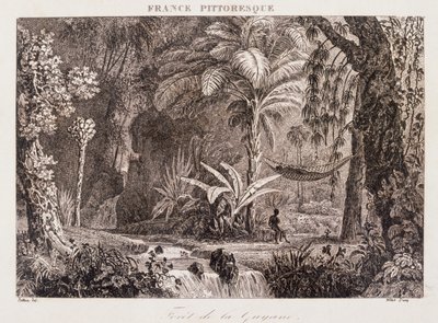 gravura representando a colónia francesa da Guiana na América do Sul 1850 de Unknown artist