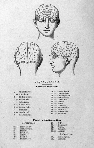 ilustração do livro de Charles Rouvin de 1873 Organographie La Tête humaine, estudos ilustrados de frenologia e fisionomonia aplicados a personagens famosos Paris 1873 de Unknown artist