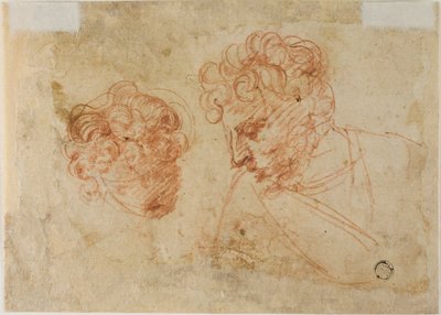 Dois esboços de cabeças (frente); dois esboços de mulher coberta (verso) de Unknown Florentine