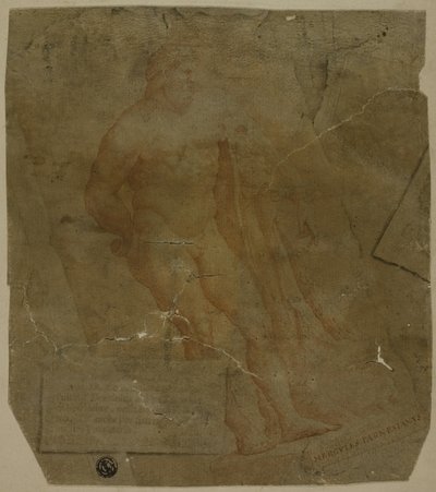 Hércules de Unknown Italian