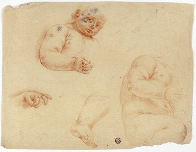 Esboços de uma criança:  Meio comprimento, tronco, pé, mão de Unknown Lombard
