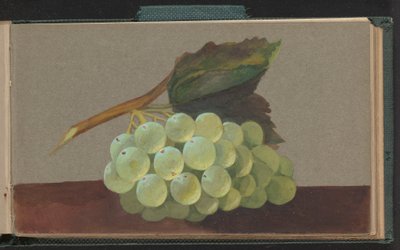 Um Bando de Uvas de Unknown artist