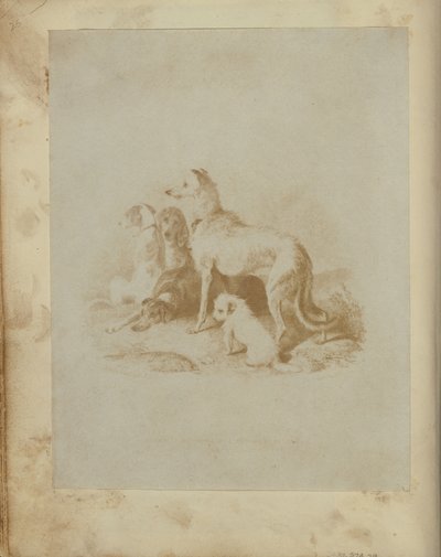 [Um grupo de cinco cães] de Unknown artist
