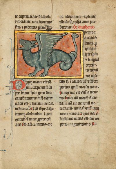 Um dragão alado de Unknown artist