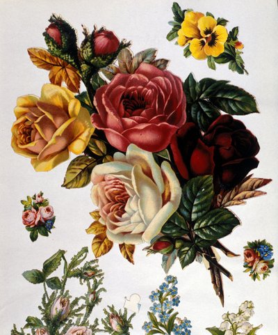 Um buquê de rosas. Cromolitografia do século XIX. de Unknown artist