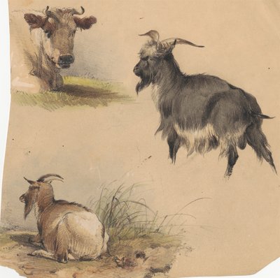 Uma vaca e dois bodes de Unknown artist