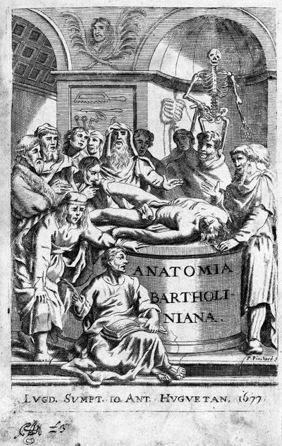 Um leão da anatomia Frontispice tira de "Anatomia Reformata" de Thomas Bartholin (1616-80) (Bartholinus) 1677 de Unknown artist
