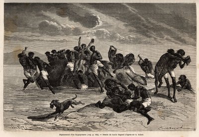 Depois de ter tomado a sua parte e a parte atribuída ao líder da tribo Hamran, a multidão está lutando brutalmente pelos pedaços restantes. Gravura para ilustrar a exploração dos afluentes abissínios do Nilo, por Sir Samuel W. Baker, em de Unknown artist