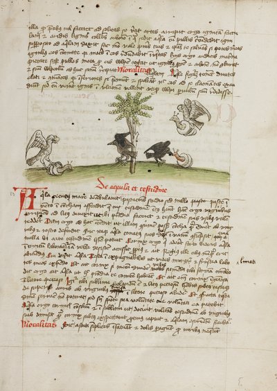 Uma águia a apanhar um caracol; um corvo a debicar um caracol de Unknown artist