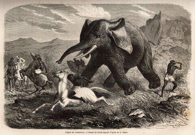 Um elefante acaba com a tropa que o perseguiu e carrega os caçadores a cavalo, enquanto um dos caçadores arma o braço para pará-lo e terminá-lo com um pântano. Gravura para ilustrar a exploração dos afluentes abissínios do Nilo, por Sir Samuel W.B de Unknown artist