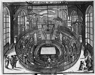 Teatro anatómico da Universidade de Leiden, final do século XVII. de Unknown artist