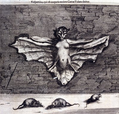 Morcegos e ratos. “De China Monumenta” de Athanasius Kircher de Unknown artist