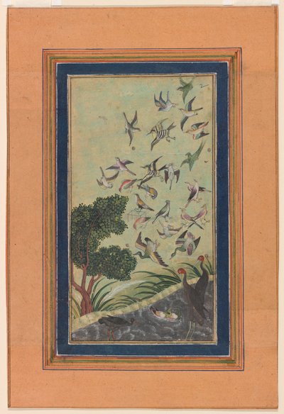 Aves em Baran, possivelmente do Babur-nama de Unknown artist