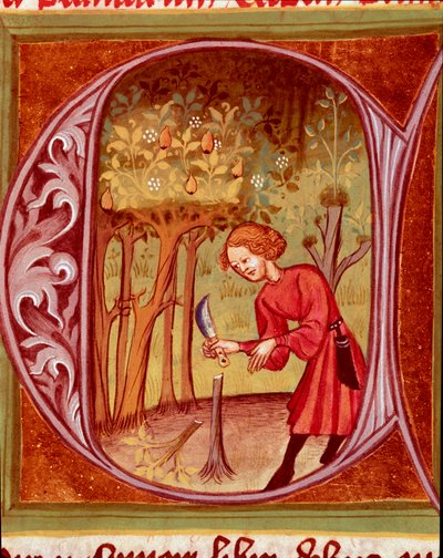 Botânico: um jardineiro que pratica um transplante. Miniatura retirada de "The Rustican or Book of Country and Rural Profit" (Rerum ruralium commodorum) de Pietro de Crescenzi (Pedra Crescente ou Pedra Crescens) (1233-1320) Praga do século XIV, Biblioteca  de Unknown artist