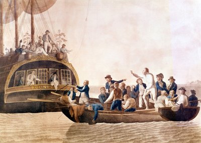 Capitão William Bligh (1754 - 1817) do Bounty abandonado pela sua tripulação. de Unknown artist
