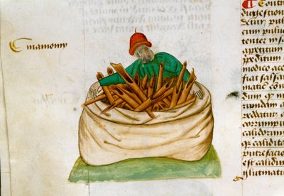 Vendedor de Canela Descrição das plantas medicinais e de como prepará-las. Página de manuscrito "Tratamentos sobre ervas" (Tractatus de herbis) por Pedanius Dioscorides (Dioscorides) (40-90 AD) Lat.1152 de Unknown artist