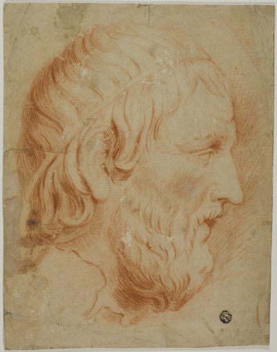Perfil clássico do homem barbudo de Unknown artist