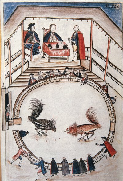 Luta de galos, um nobre assiste ao duelo, do livro "Trujillo del Peru" ou "Códice Martínez Compañón", de Baltazar Martinez Compañón y Bujanda, bispo de Trujillo (1782-1785) de Unknown artist