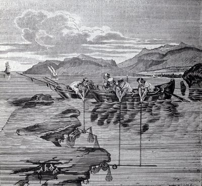 Pesca de coral com a ajuda de sabre salgado e artes. de Unknown artist