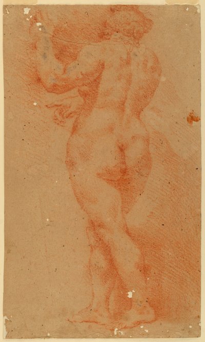 Estudo contraprova de uma mulher nua de Unknown artist
