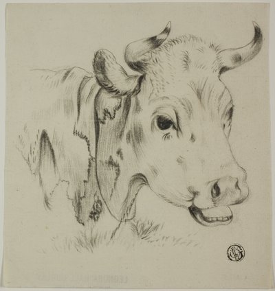 Cabeça de vaca de Unknown artist