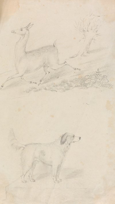 Veado e Cão de Unknown artist