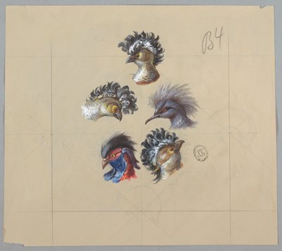 Design para papel de parede e têxtil: pássaros de Unknown artist