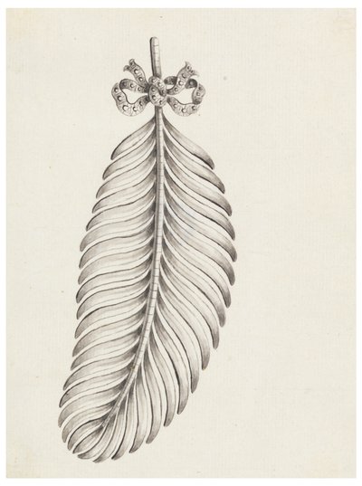 Design para um broche em forma de pena de Unknown artist