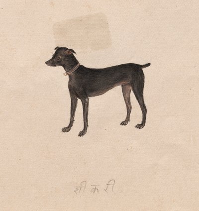 Cadela de Unknown artist