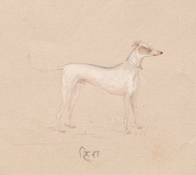 Cadela de Unknown artist