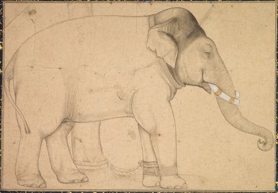 Desenho de um elefante de Unknown artist