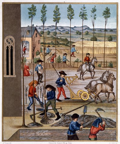 Trabalho de campo - Miniatura de Unknown artist