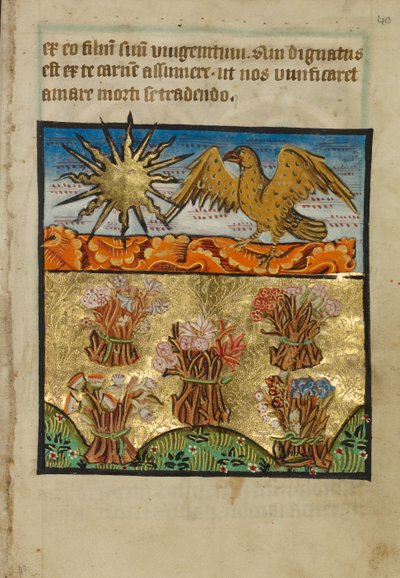 Cinco cachos de flores de Unknown artist