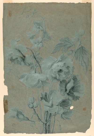 Desenho floral de Unknown artist
