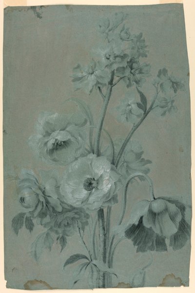 Desenho floral de Unknown artist