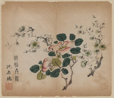 Flor de Prunus de Unknown artist