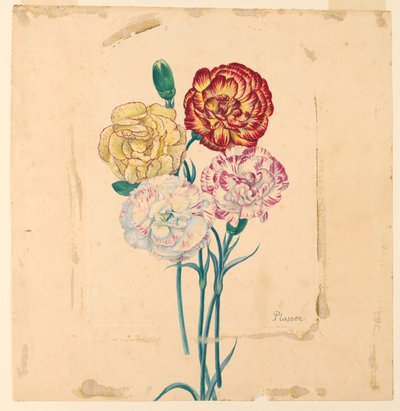 Quatro cravos de Unknown artist