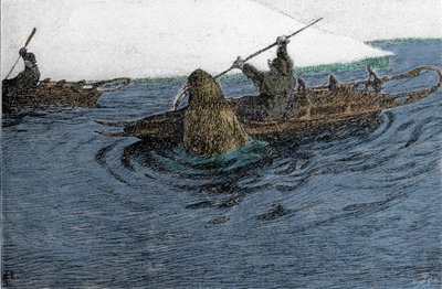 Fridtjof Nansen (1861-1930), explorador norueguês, atacado por uma morsa durante a expedição do Pólo Norte, em 1896. Ele está carregando o Schlitte no caiaque. Gravura do século XIX. de Unknown artist