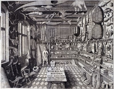 Frontispício de "Musei Wormiani Historia" mostrando o interior do gabinete de curiosos de Ole Worm ou Olaus Wormius de Unknown artist