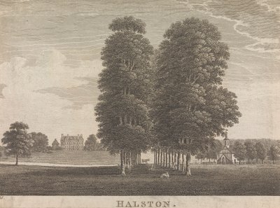 Halston; página 22 (Volume Dois) de Unknown artist