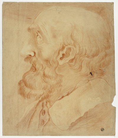 Cabeça de homem barbudo em perfil de Unknown artist