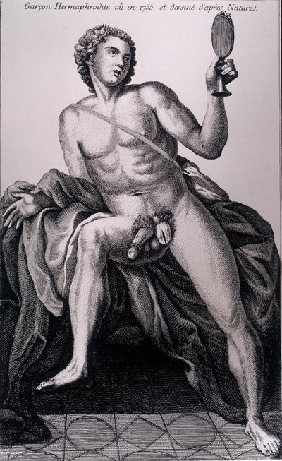 Rapaz hermafrodita visto em 1755 e extraído da natureza. de Unknown artist