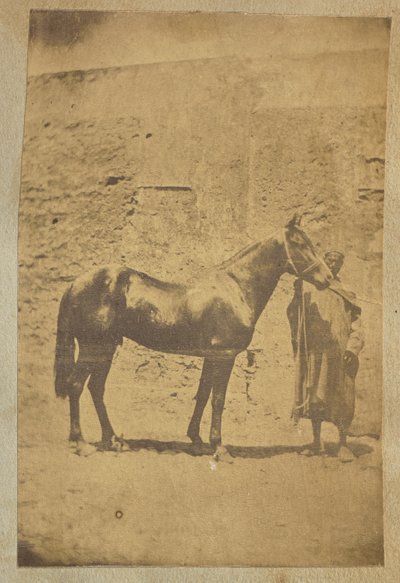 [Cavalo] de Unknown artist